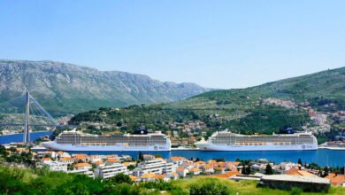 MSC Cruises
