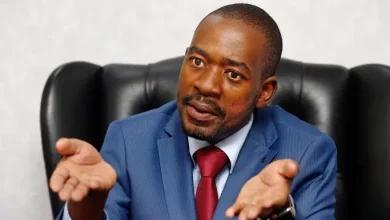 Chamisa
