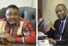 Mzembi and Kasukuwere