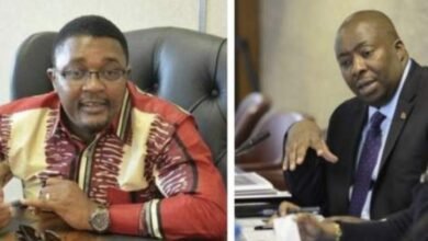 Mzembi and Kasukuwere