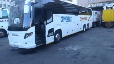 bus