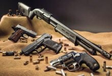 fire arms