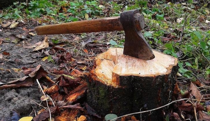 axe