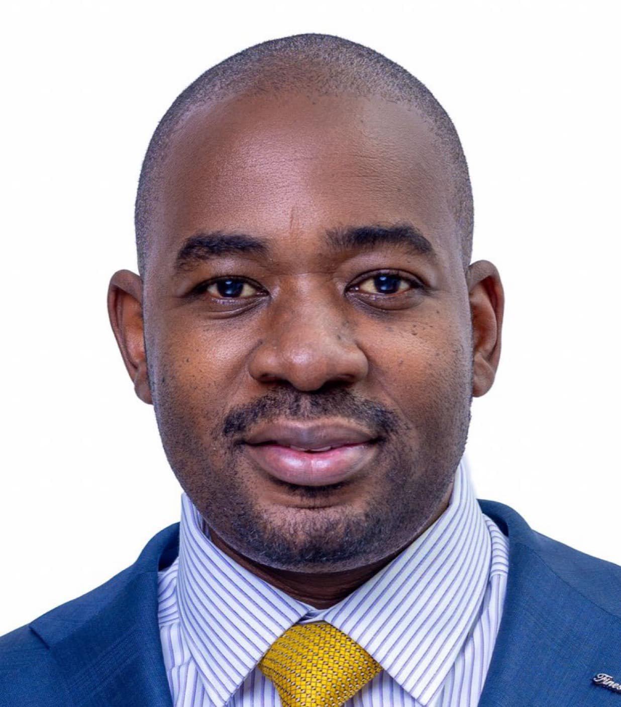 Nelson Chamisa criticizes Harare City Commission Inquiry as a political diversion 3 Nelson Chamisa