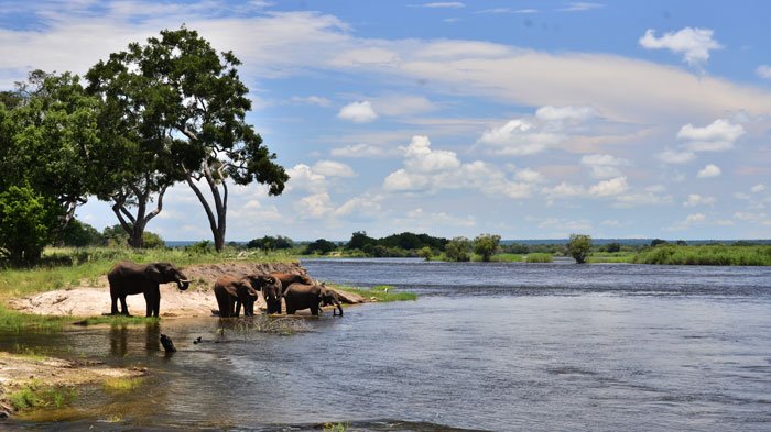Zambezi