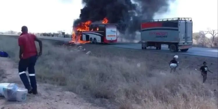 bus