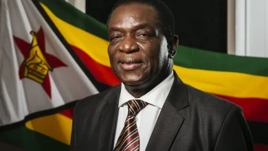 Emmerson Mnangagwa