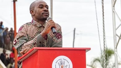 Nelson Chamisa
