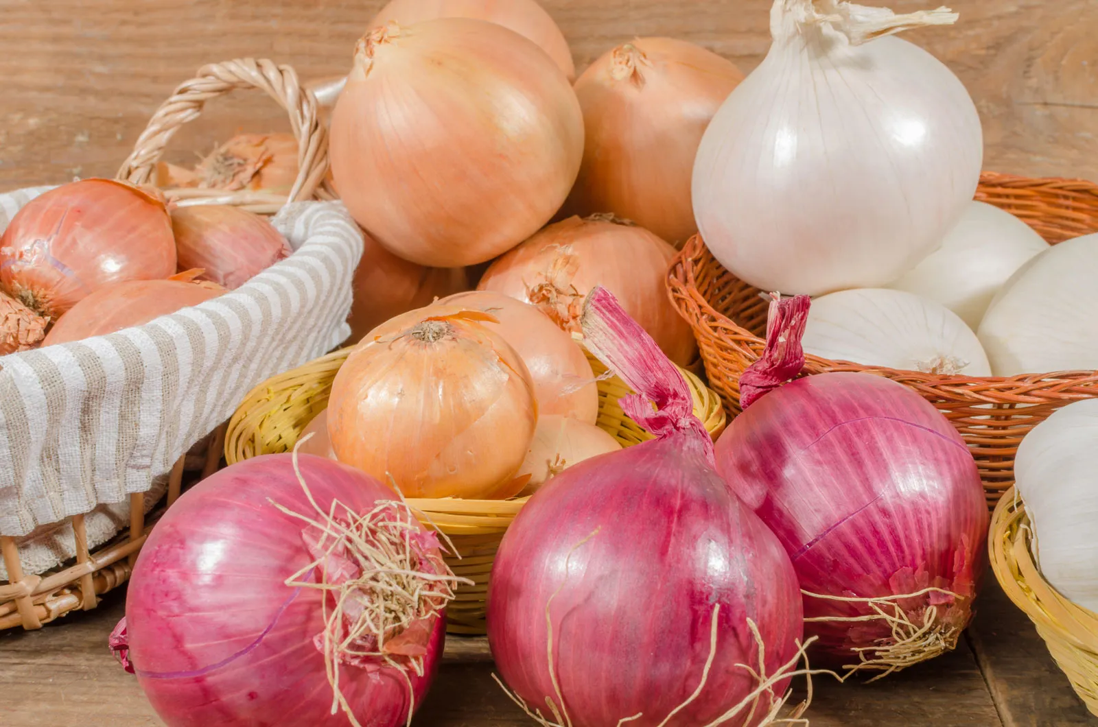 Onion-bulbs-