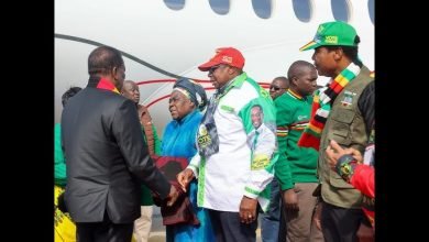 Zanu PF