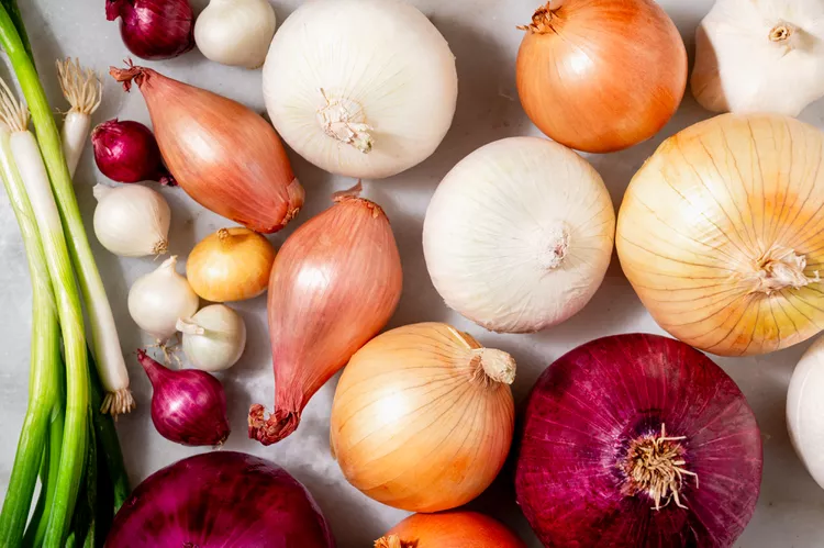 Onion