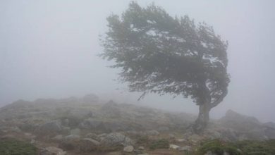 strong winds