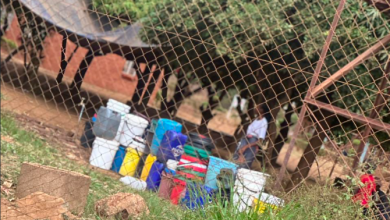 Water and Electricity struggle in Kadoma