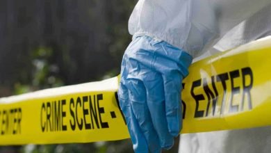 crime scene in the bush