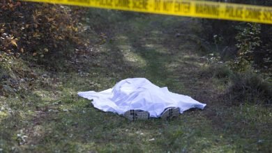 crime scene in the bush
