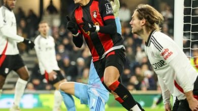 Fulham 2 - 2 AFC Bournemouth