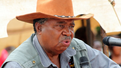 Phelekezela Mphoko