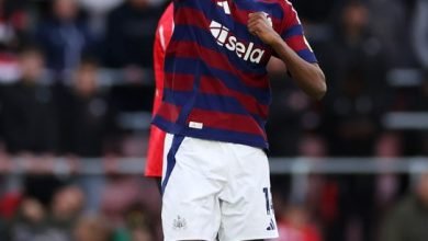 Southampton 1 - 3 Newcastle United