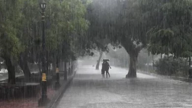 rain