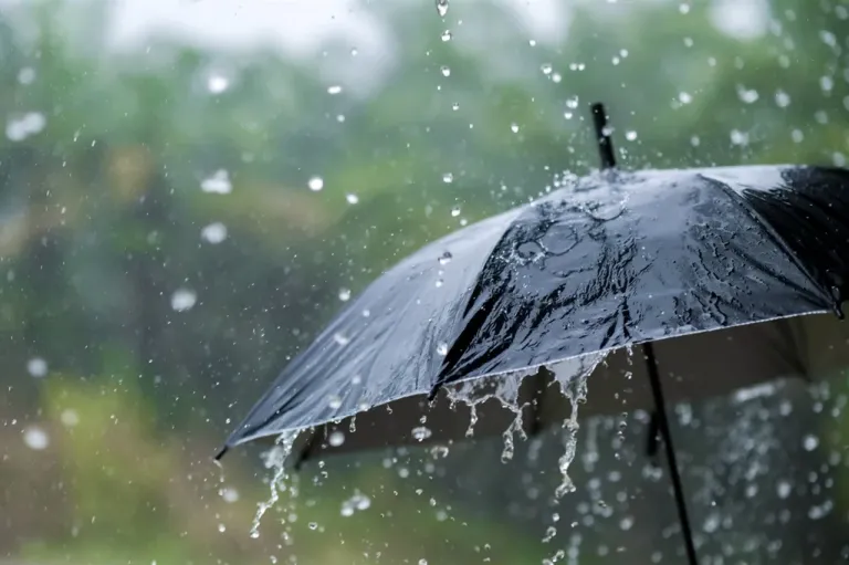 rainfall