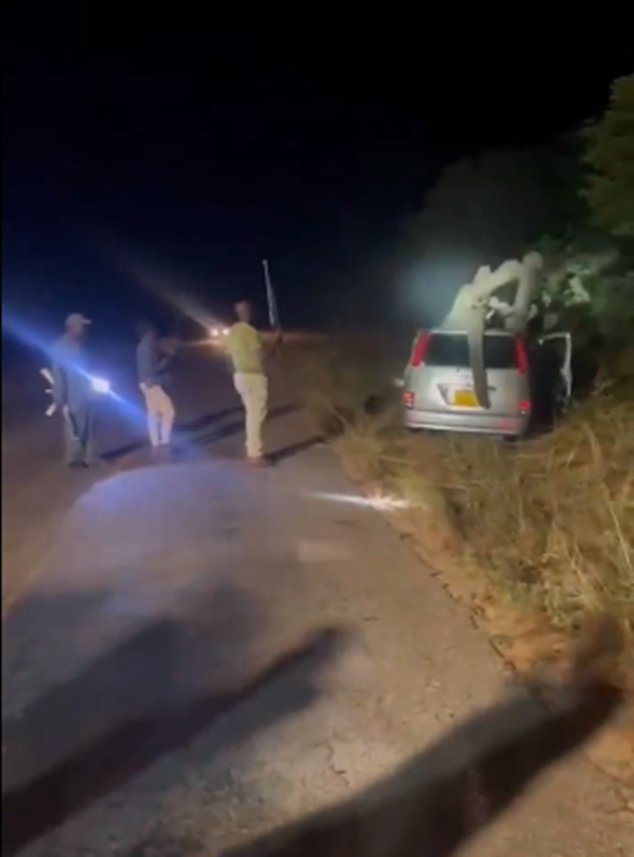Elephant collision kills one & injures 5 in Victoria Falls tragedy