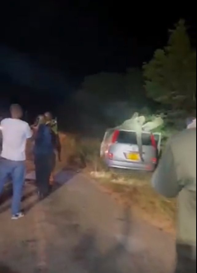 Elephant collision kills one & injures 5 in Victoria Falls tragedy