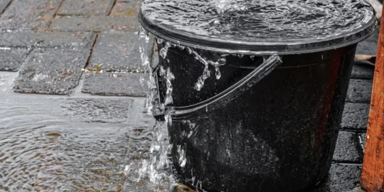 Bucket