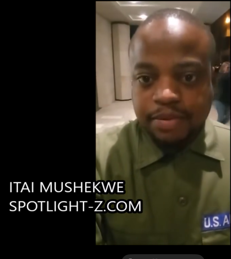 Zimbabwean Journalist Itai Mushekwe Passes Away in Germany Mushekwe