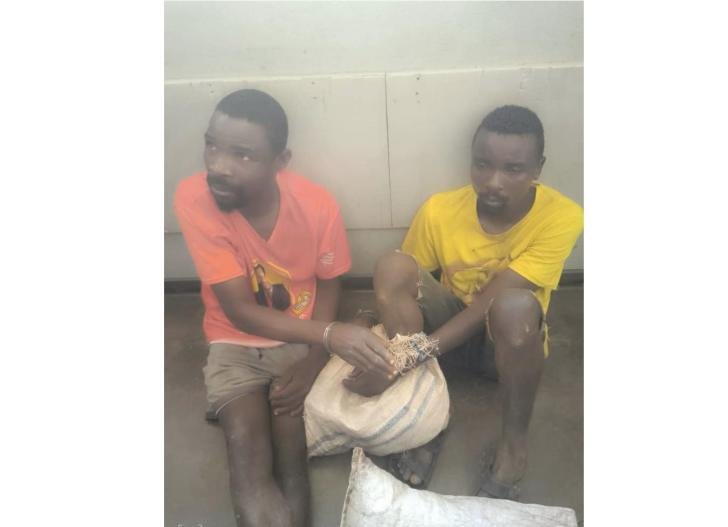 murder suspects