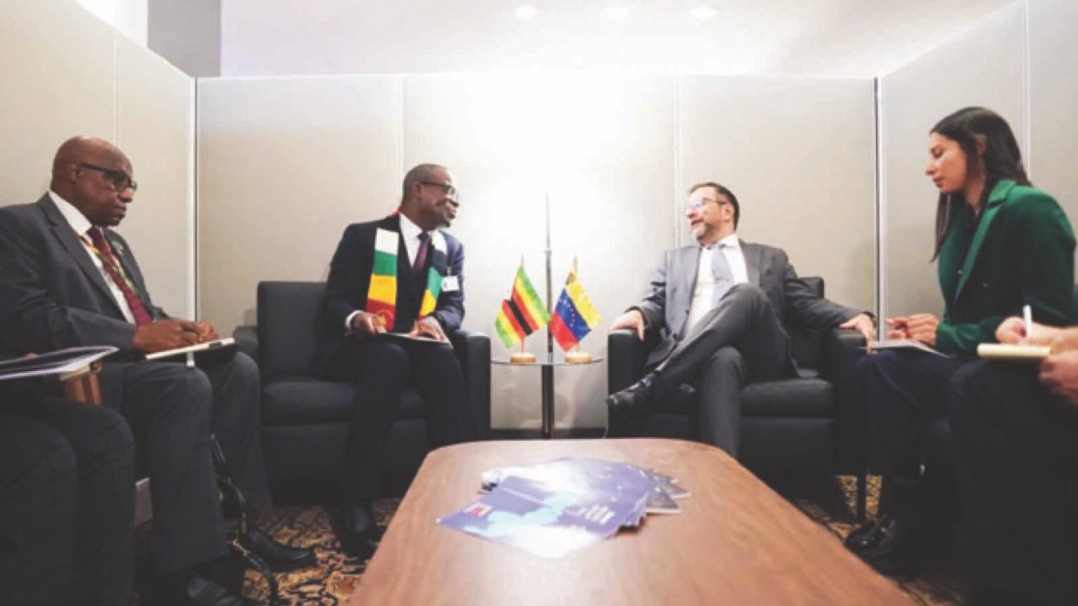 Zimbabwe secures 134 backers in bid for Security Council seat