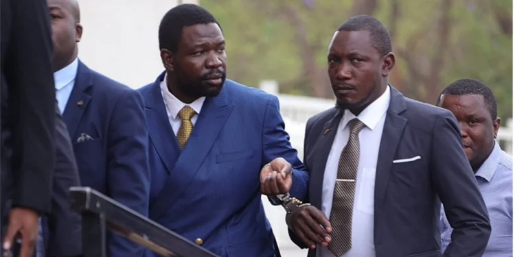Magaya
