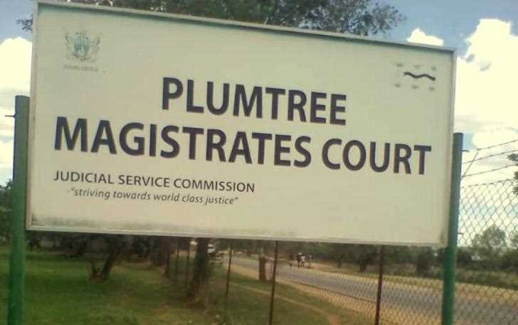 Plumtree