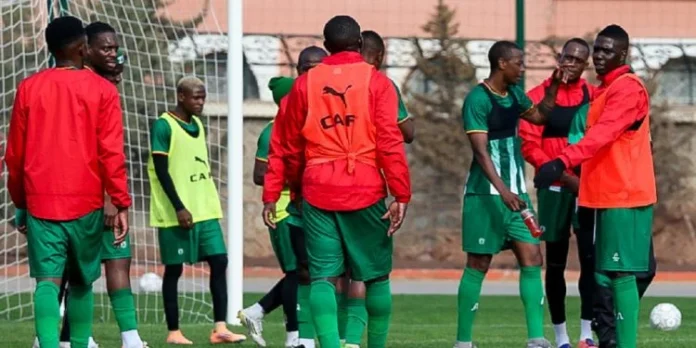 Zimbabwe Warriors’ AFCON